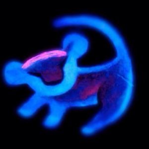 Meet your Posher, Kyleen